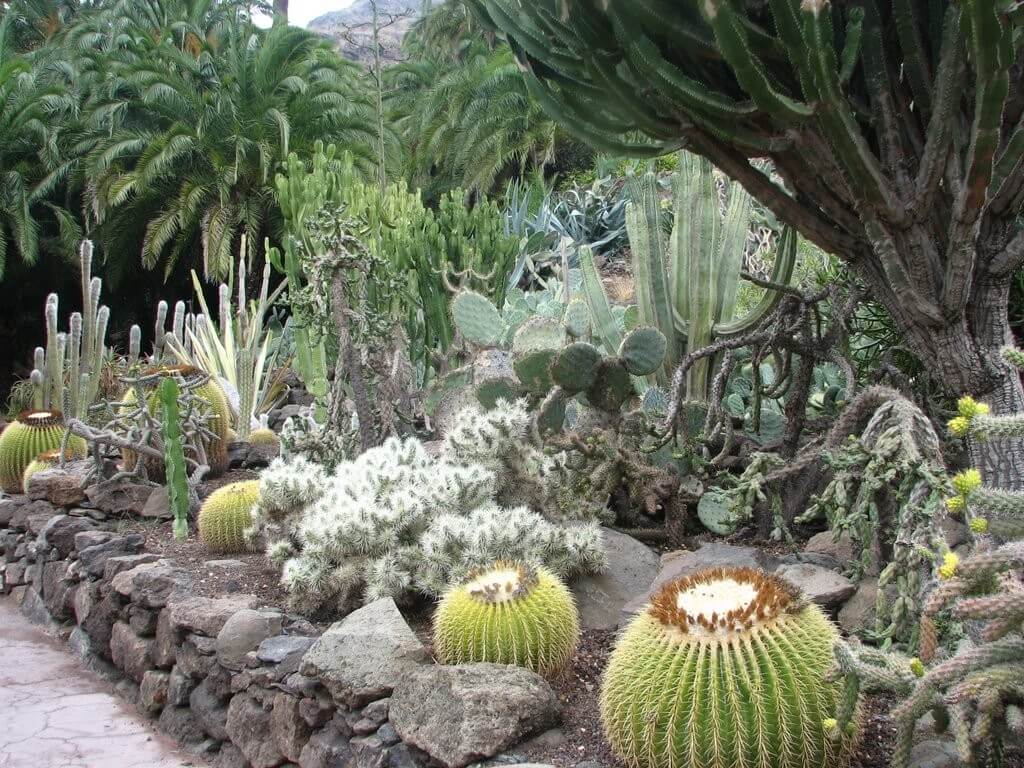 Palmitos Park - Image 2