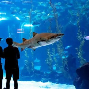 Gran Canaria kirándulás Teneriféről