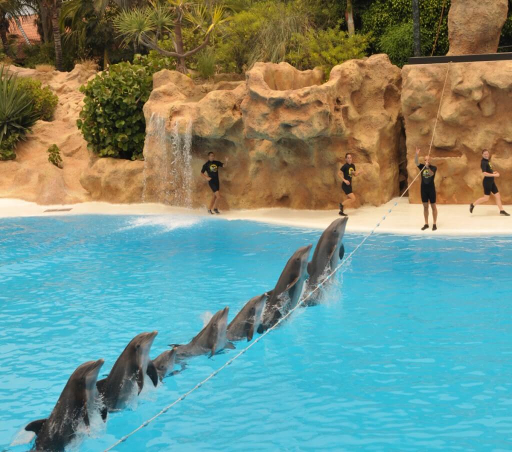 Loro Park belépő - Image 5