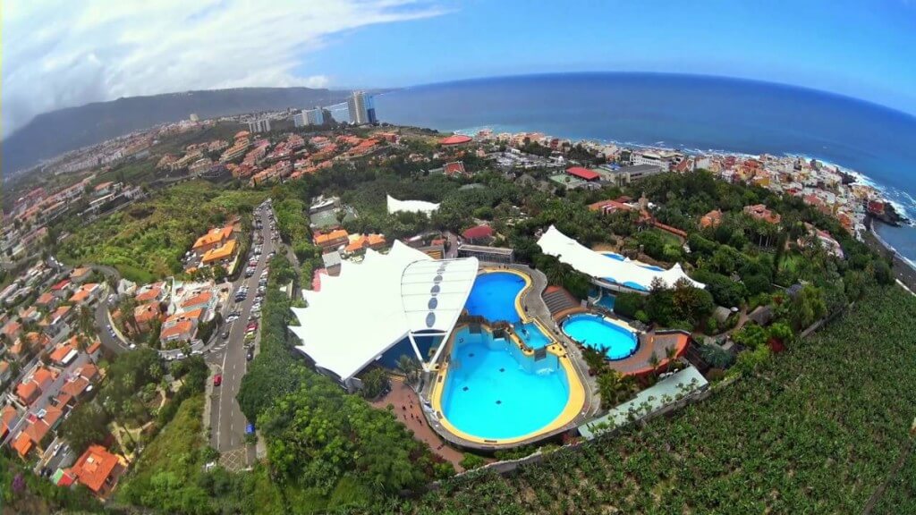 Loro Parque-Tenerife - Image 2